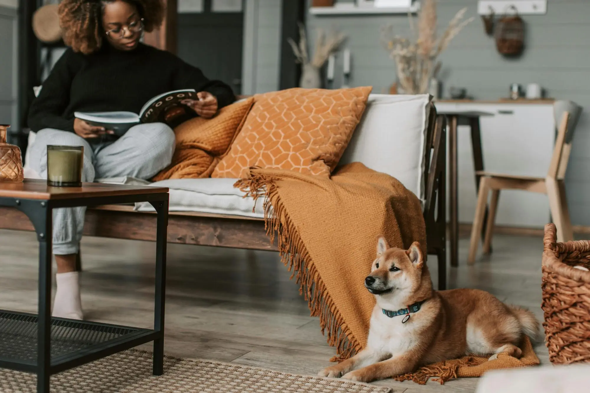 Paws and Clauses: What Lexington, KY Landlords Should Know About Pets in a Rental Property